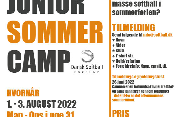 DSoFs Sommercamp