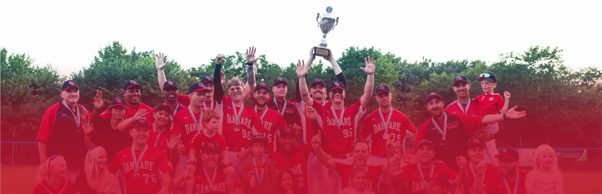 Dansk Softball Forbund