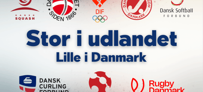 Projektleder ansat: Stor i udlandet, lille i DK